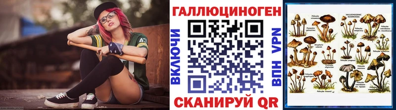 Купить закладки  Усть-Илимск  Псилоцибиновые грибы Psilocybine cubensis 